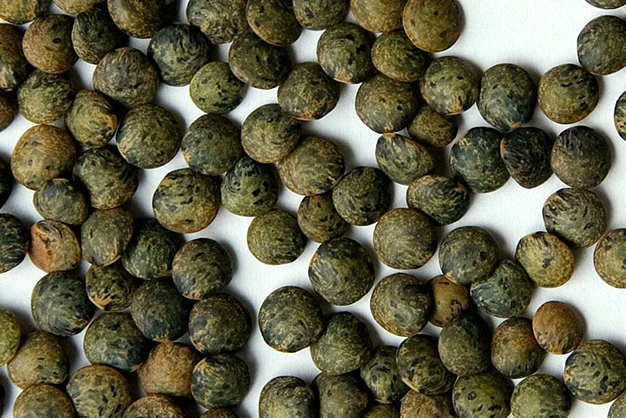 french lentils