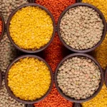 Types of Lentils: A Guide to This Nutritious Legume