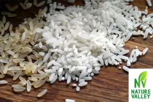 New rice is better or old rice