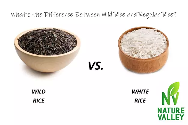  What’s the Difference Between Wild Rice and Regular Rice